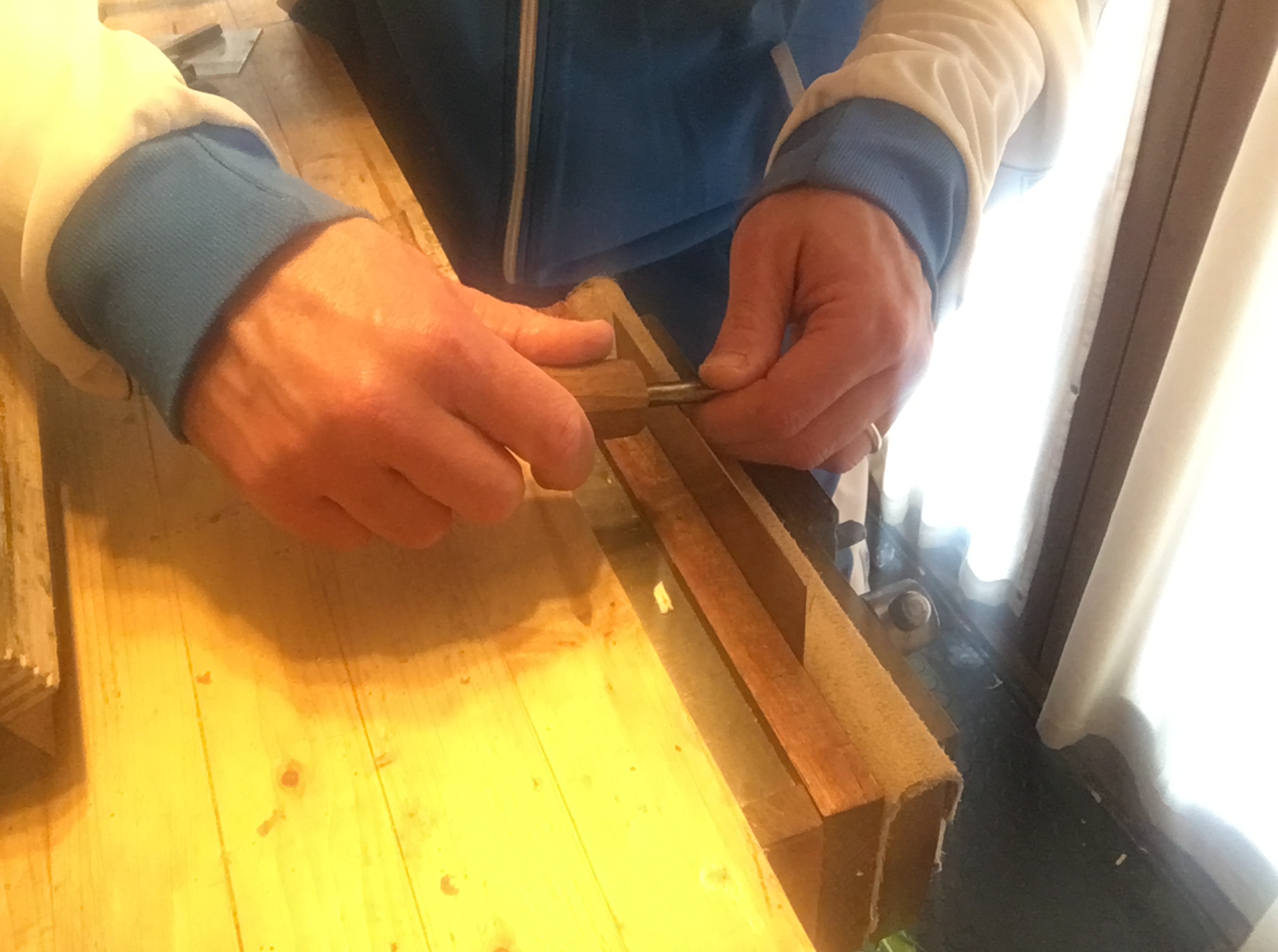 562D27EE-7A1E-4C1E-8761-1E7D6ED63E2E