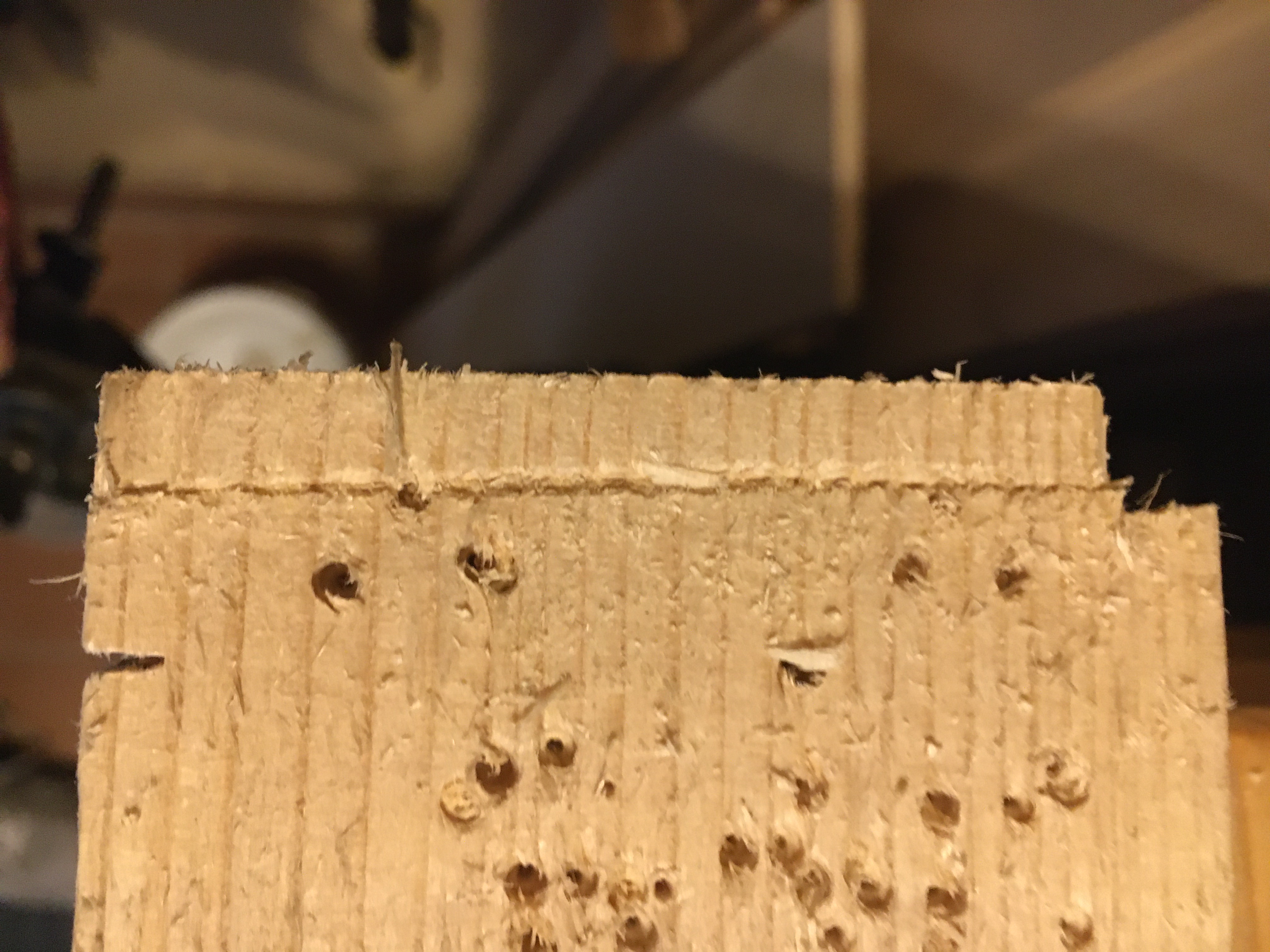 530DBE21-0A9E-4334-9BB4-2F89A837217D